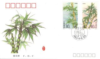 Asia China 1993 Bamboo 34f & 40f First Day Cover Ref:aa15 photo