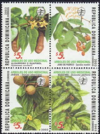 Dominican Medicinal Plants Sc 1396 2003 photo