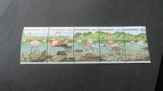 Bahamas 1982 Sg 617 - 621 Greater Flamingoes Strip. photo