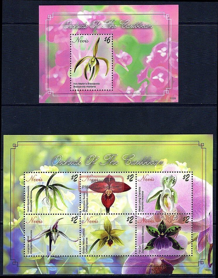 Nevis - 2011 Orchids Of The Caribbean Block Plus Sheetlet Caribbean photo