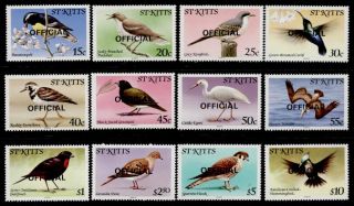 St Kitts O11 - 22 Birds photo
