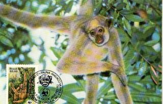 (72235) Maxicard - Brazil - Spider Monkey - 1984 photo