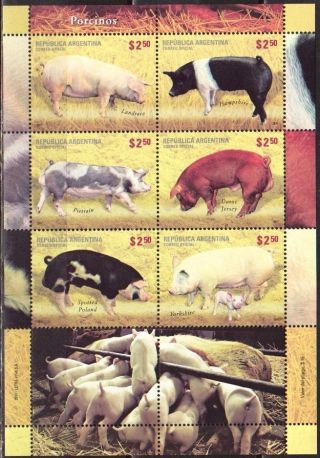 Argentina: Mi 3431 - 36 Fauna.  Farm Animals: Pigs (2011) Sheetlet photo