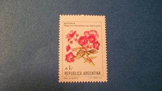 Argentima Stamp 1985 Flowers Of Argentina (aa18) photo
