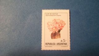 Argentima Stamp 1987 Flowers Of Argentina (aa17) photo
