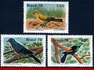 1557 - 59 Brazil 1978 Birds,  Canary,  Cotinga,  Tanager Fastuosa,  Fauna,  Mi 1651 - 53 photo