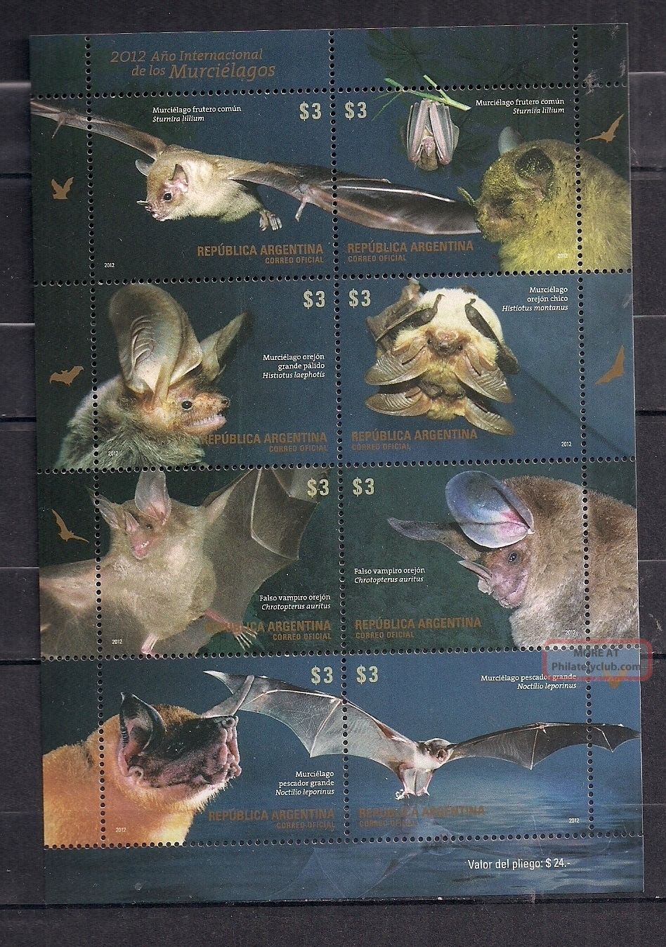 Series Of Argentina Bats 2012 Latin America photo