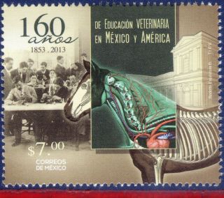 13 - 16 Mexico 2013 - Veterinary Education,  160 Years,  Horse, photo