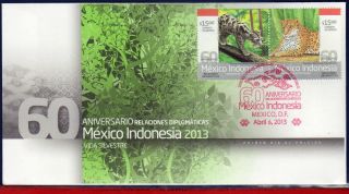 13 - 09fd Mexico 2013 Joint Issues With Indonesia,  Panther,  Wild Cats,  Fauna,  Fdc photo