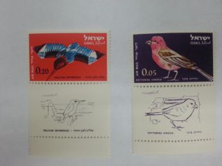 Israel 1963 Airmail Birds Of Israel photo