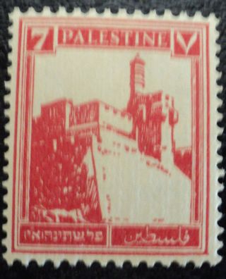 Palestine No.  69 Postage Stamp Nh photo