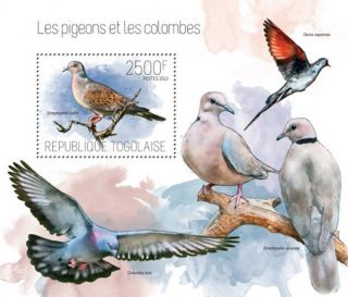 Togo 2013 - Doves And Pigeons Stamp Souvenir Sheet 20h - 789 photo