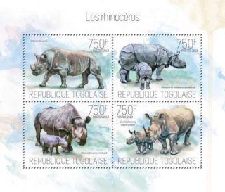 Togo 2013 - Endangered Rhinoceros Of Africa 4 Stamp Sheet 20h - 792 photo