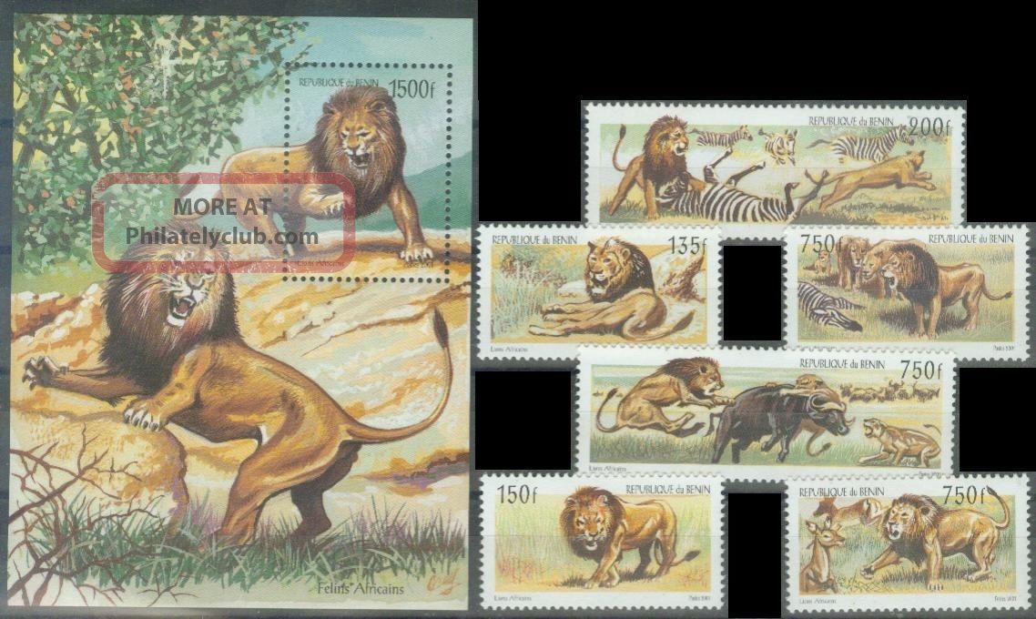 Benin,  2001,  Lions,  Rare Animal Kingdom photo