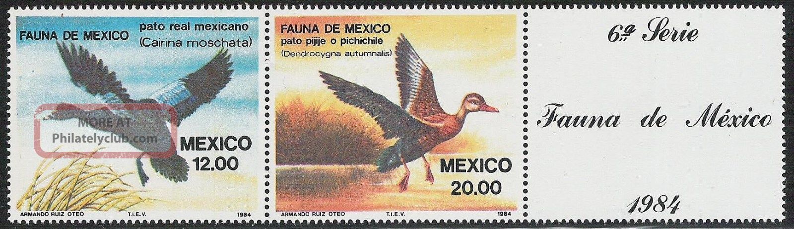 Mexico - Scott 1346 - 1347 Aquatic Birds - Muscovy And Whistling Tree Ducks Animal Kingdom photo