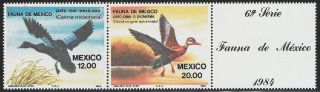 Mexico - Scott 1346 - 1347 Aquatic Birds - Muscovy And Whistling Tree Ducks photo