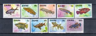 Zaire Fish photo