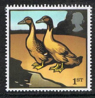 Khaki Campbell Ducks Illustrated On 2005 British Stamp - Nh photo