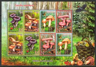 Belarus 2013 Mushrooms Insects Birds Lizard Bugs Spider Sheet Of 8 photo