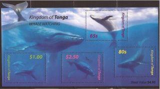 Tonga - 2005 Whale Watching - Stamp Souvenir Sheet - 20n - 002 photo