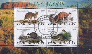 2010 Malawi Mini Sheet Of 4 Australian Wild Animals Kangaroos Cto photo