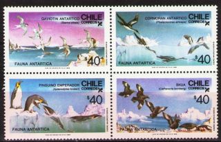 Chile 1986 Sc729 Mi1139 - 42 10.  00 Mieu 1 Block Antarctic Fauna photo