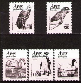 Chile 2009 Mi2350 - 54 3.  70 Mieu 5v Birds - Definitive Issue photo