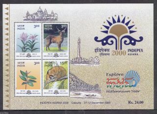 India 2000 Indepex Asiana Stamp Exhiition 4v S/s Slender Loris Deer 62597 photo