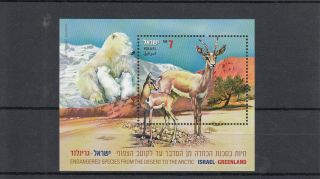 Israel 2013 Greenland Joint Issue 1v Ss Endangered Species Desert Polar Bear photo
