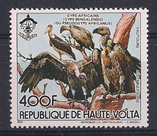 Alto Volta - 1984 Birds - Vf 968 photo