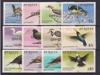 St.  Kitts 1981 Birds - Vf Die.  11 - 22 photo