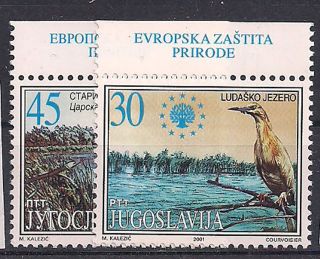 Jugoslavia - 2001 Birds - Vf 2924 - 5 photo