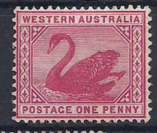 Western Australia - 1890 Bird Mlh - Vf 34 photo