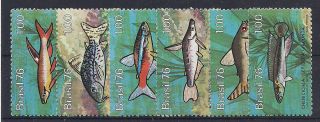 Brazil - 1976 Fishes Mlh - Vf 1545 - 50 photo