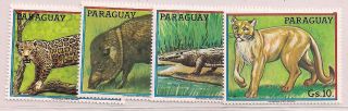 Paraguay - 1984 Wildlife - Vf 3720 - 23 photo