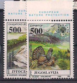Jugoslavia - 1992 Birds - Vf 2458 - 9 photo