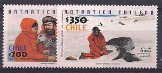 Chile - 2001 Antartica - Vf 1596 - 7 photo