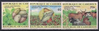 Cameroon - 1984 Wildlife - Vf 1066 - 8 photo