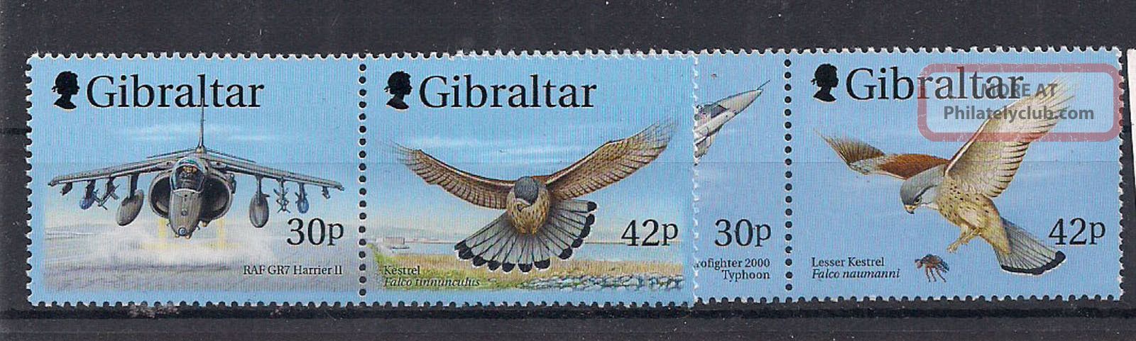 Gibraltar - 2000 Birds - Vf 950 - 5 Animal Kingdom photo