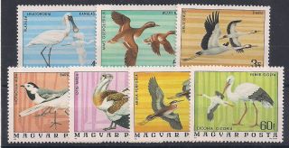 Hungary - 1977 Birds - Vf 2536 - 42 photo