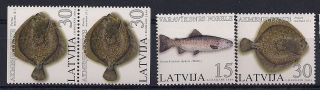 Lettonia 2004 - Marine Life - Vf 601 - 2+aa photo