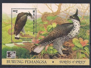 Malaysia 1996 - Birds - - Vf Ms 13c photo