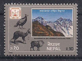 Nepal - 1985 National Park - Vf 451 photo