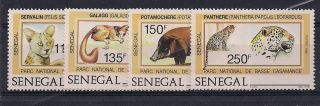 Senegal - 1987 Wild Animals - Vf 722 - 5 photo