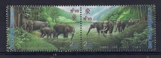 Thailandia - 1995 Wild Animals - Vf 1646 - 7 photo