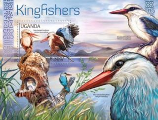 Uganda – African Kingfisher Birds – Stamp Souvenir Sheet – 21d - 012 photo