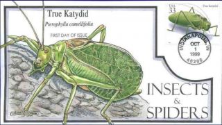 Collins Hand Painted 3351 Insect And Spiders Katydid photo