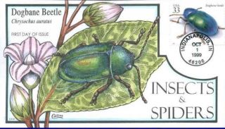 Collins Hand Painted 3351 Insect And Spiders Dognane Beetle photo