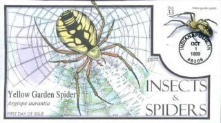 Collins Hand Painted 3351 Insect And Spiders Yellow Garden Spider photo