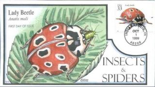 Collins Hand Painted 3351 Insect And Spiders Lady Beetle photo